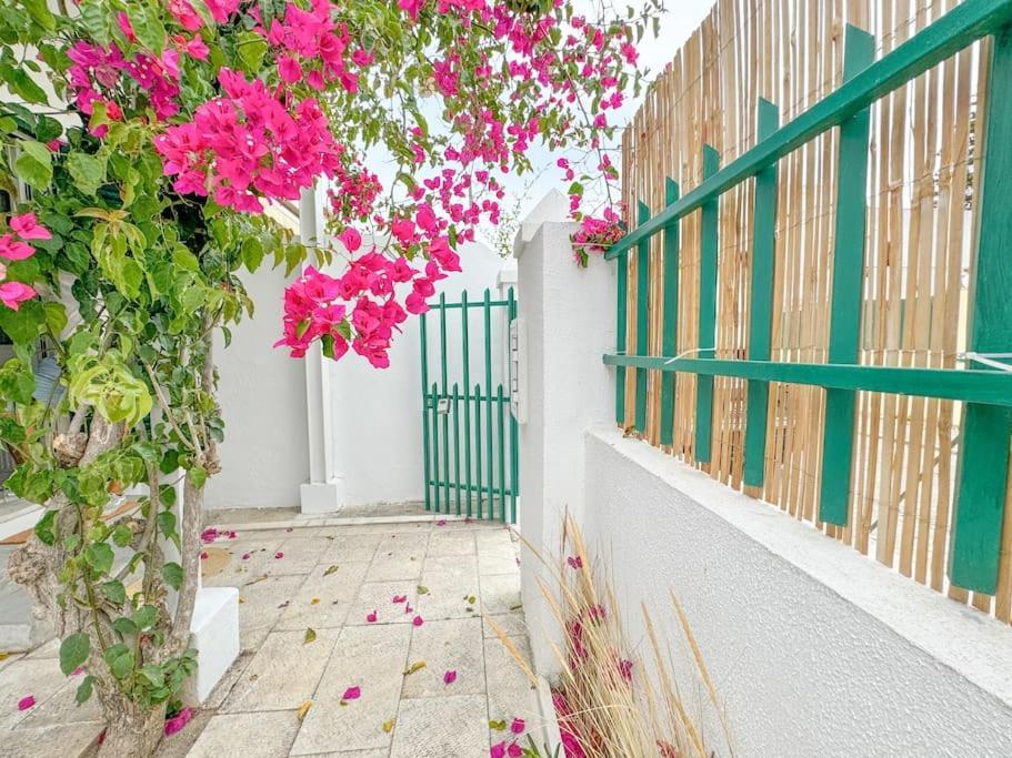 Costa Inn Beach House With Pool By Homeful Homes コスタ・ダ・カパリカ エクステリア 写真